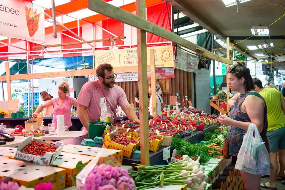 Local Expertise in Oakland's Microclimates and Infrastructure — Oakland, CA