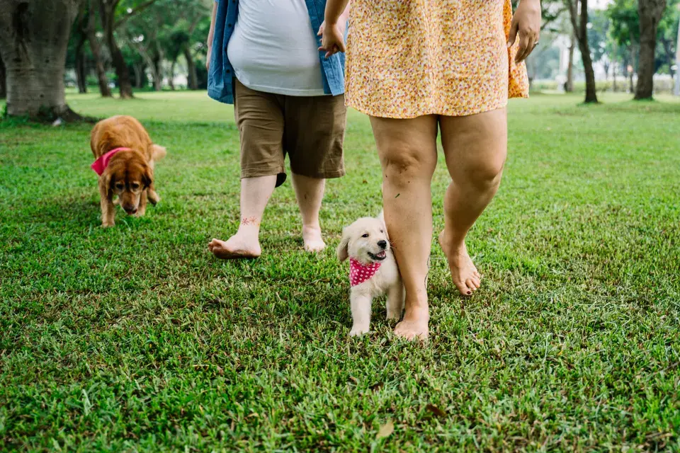 water damage restoration Sausalito